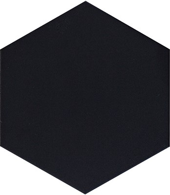 black 310878
