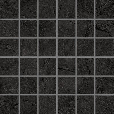black 305316