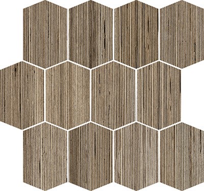 tortora 309947