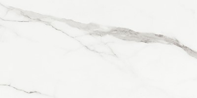 ECWCRRWHT01