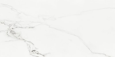 carrara polished ECWCRRWHT03