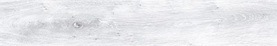 ice ECWTAPICE01