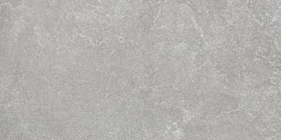 gray ECWVMTGRY01