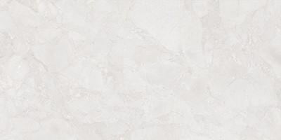 ECXAIAWHT12