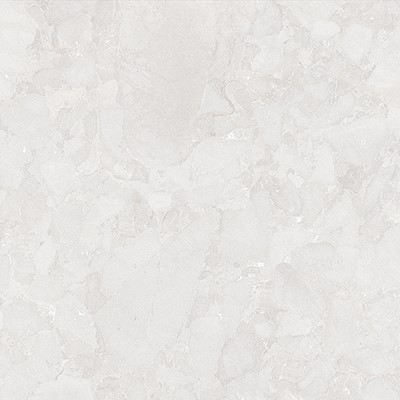 ECXAIAWHT11