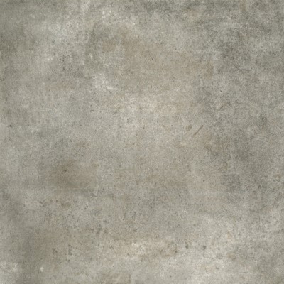gris 275461