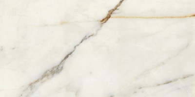 calacatta oro 294881
