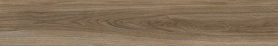 forest 303647