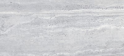 light grey 304658