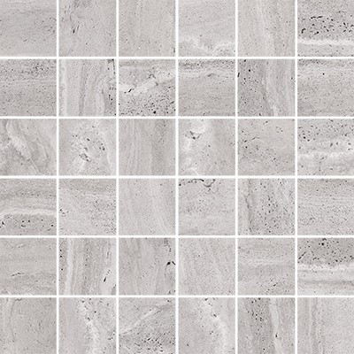 silver 304676