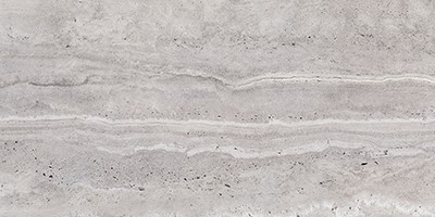 silver 304691