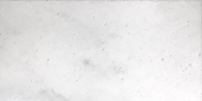 12x24 300409