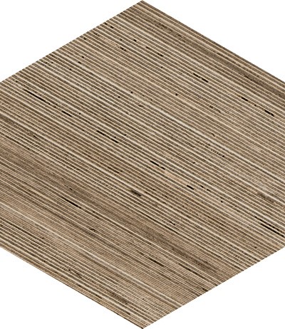 tortora 309456