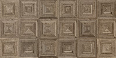 tortora 309444