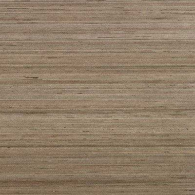tortora ECXBAM310459